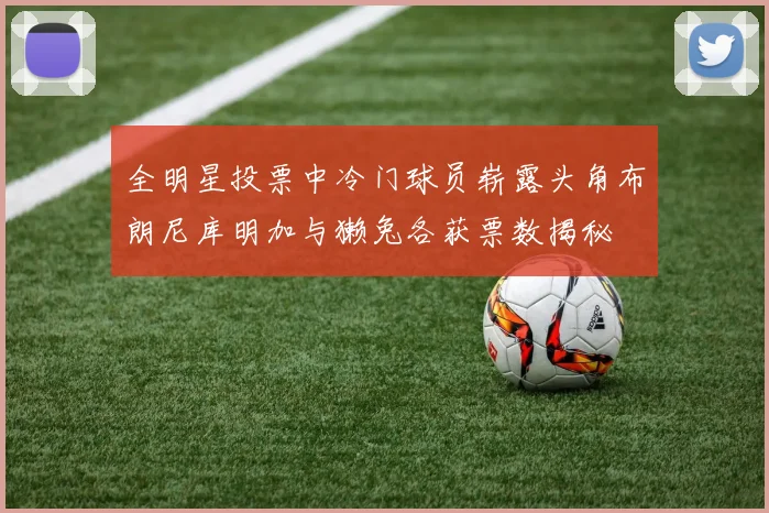 全明星投票中冷门球员崭露头角布朗尼库明加与獭兔各获票数揭秘