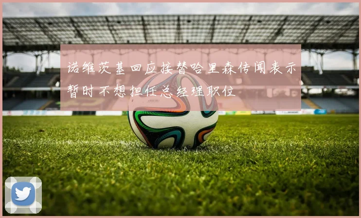 诺维茨基回应接替哈里森传闻表示暂时不想担任总经理职位