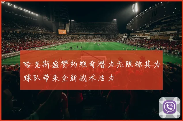 哈克斯盛赞约维奇潜力无限称其为球队带来全新战术活力