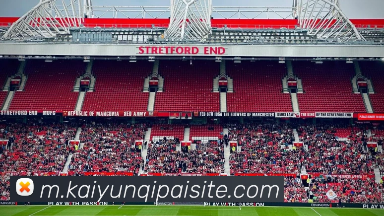 开云棋牌平台生态图